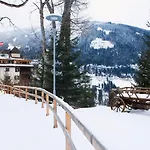 豪斯希尔特高山spa酒店 4* 巴德加斯坦