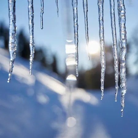 Hotel Alpine Haus Hirt Bad Gastein
