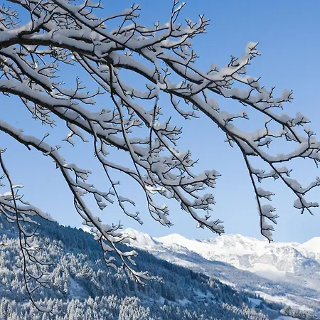 Alpine Haus Hirt Bad Gastein