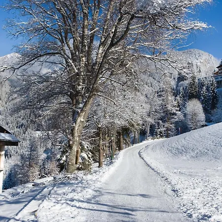 Hotel Alpine Haus Hirt Bad Gastein