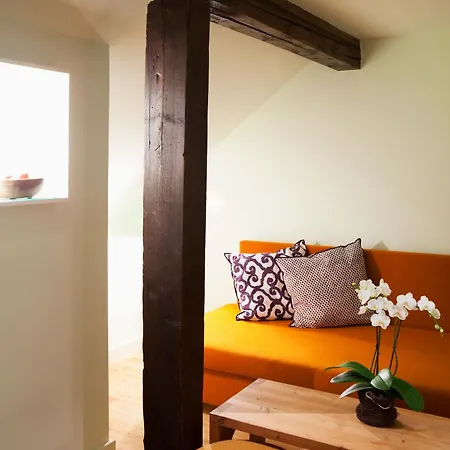 Alpine Haus Hirt 4* באד גסטיין