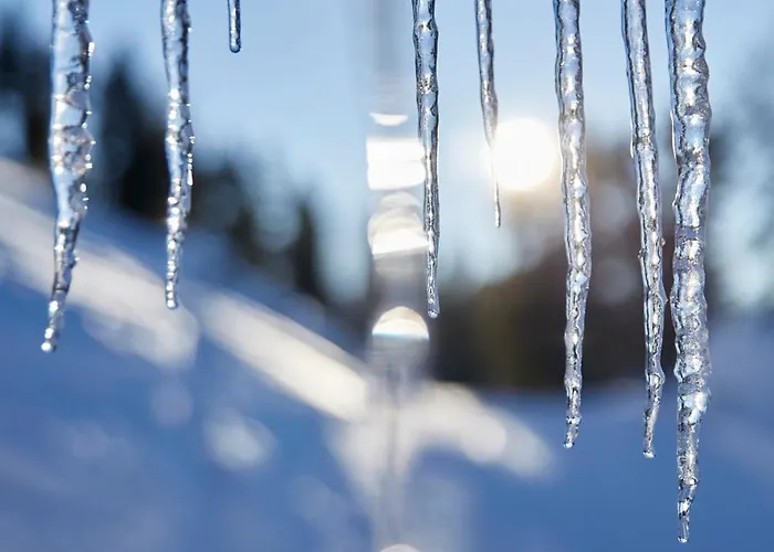 Hotel Alpine Haus Hirt Bad Gastein